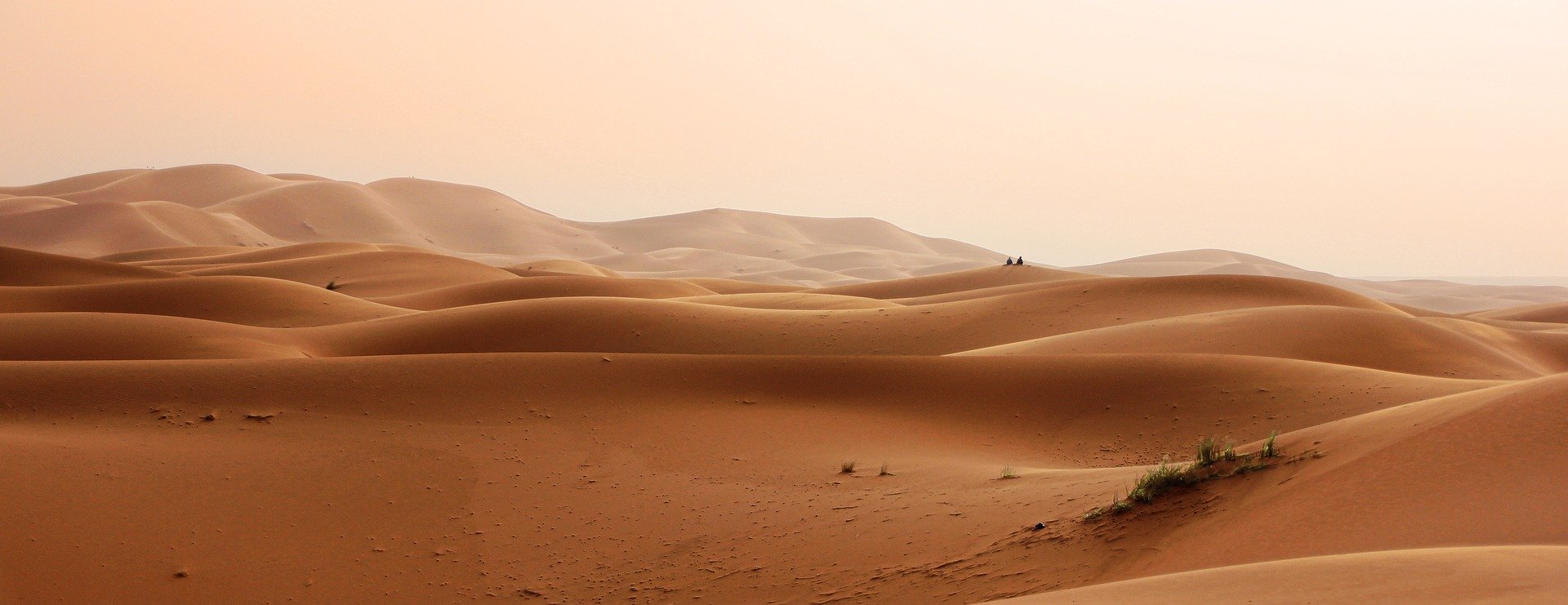 désert, paysage, sable, landscape, sand, travelers
