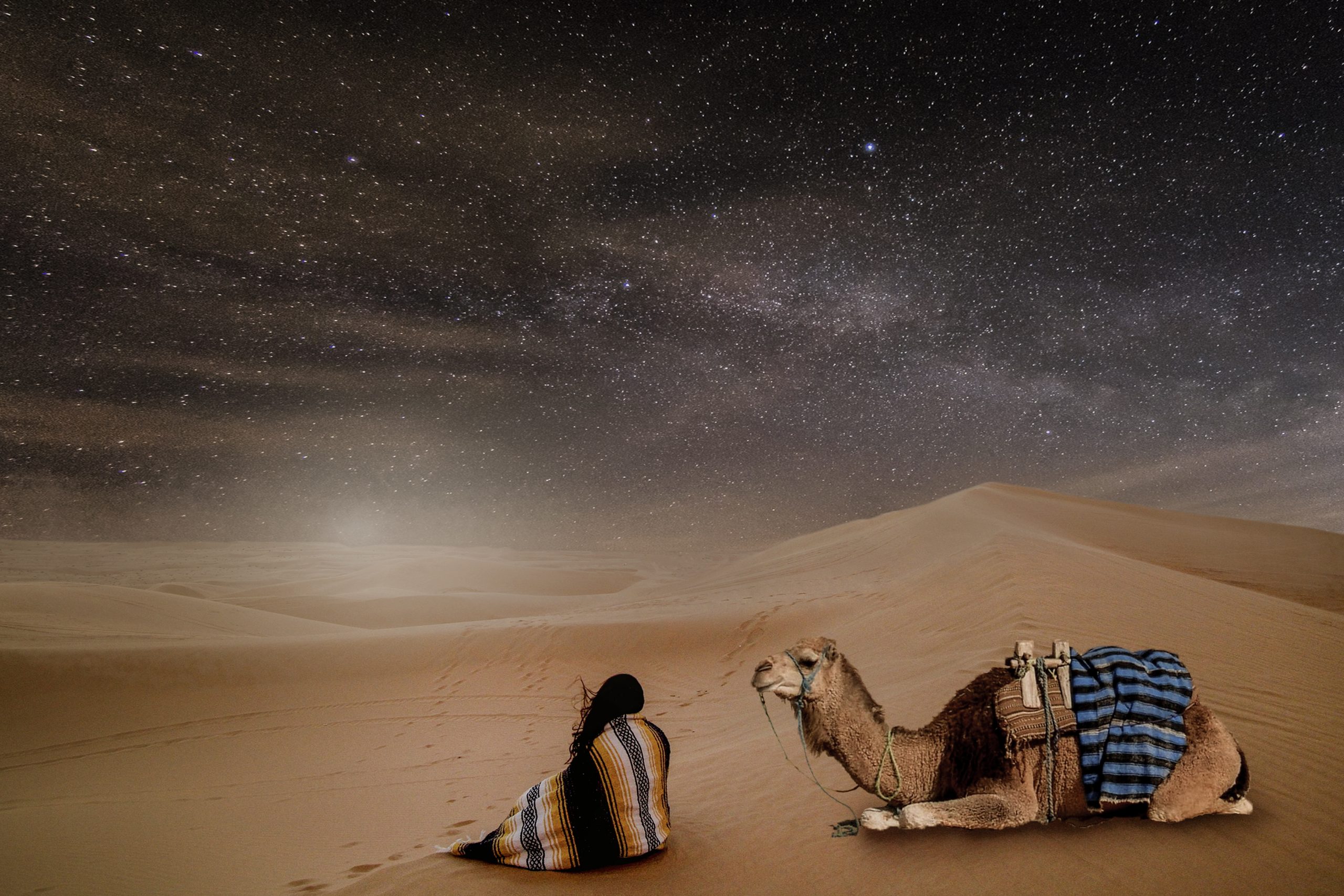 star in the desert, camel, chameau