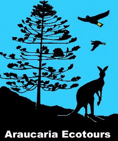 Araucaria Ecotours