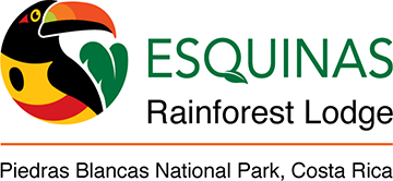 Esquinas Rainforest lodge