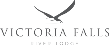 Victoria falls river lodge