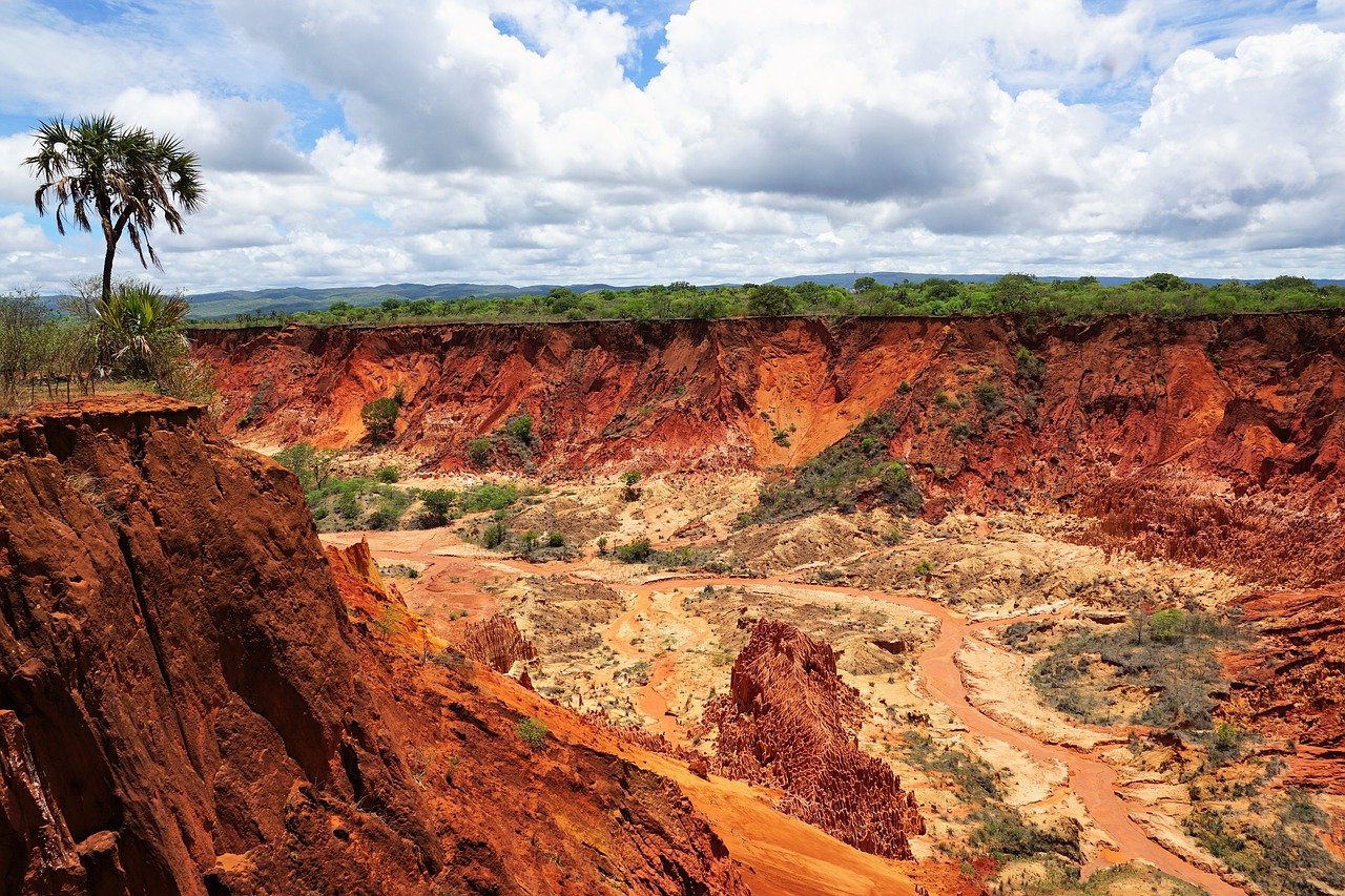 Ферраллитные почвы Мадагаскара