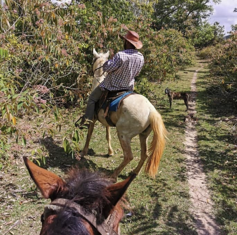 Horse ride Vinales