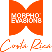 Morpho Evasions Costa Rica