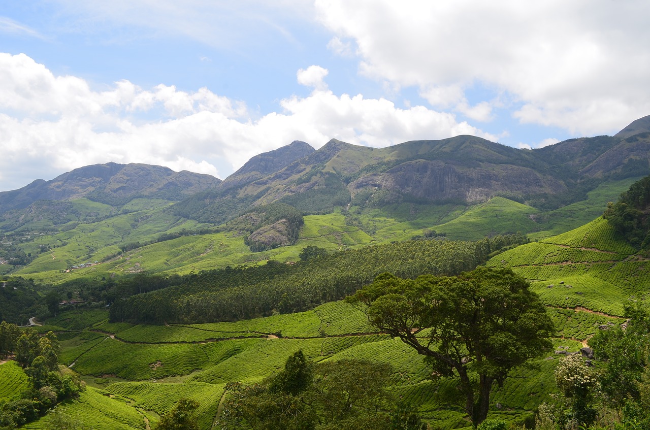 Le Kerala, un paradis terrestre en Inde