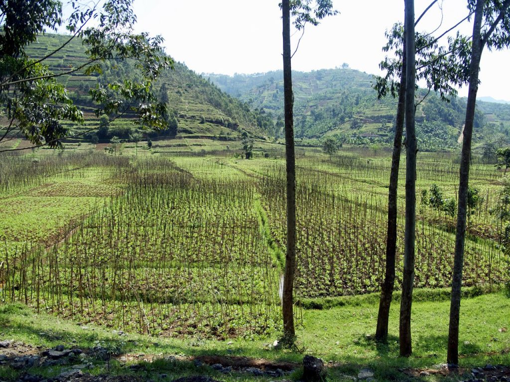 Rwanda, towards greener tourism