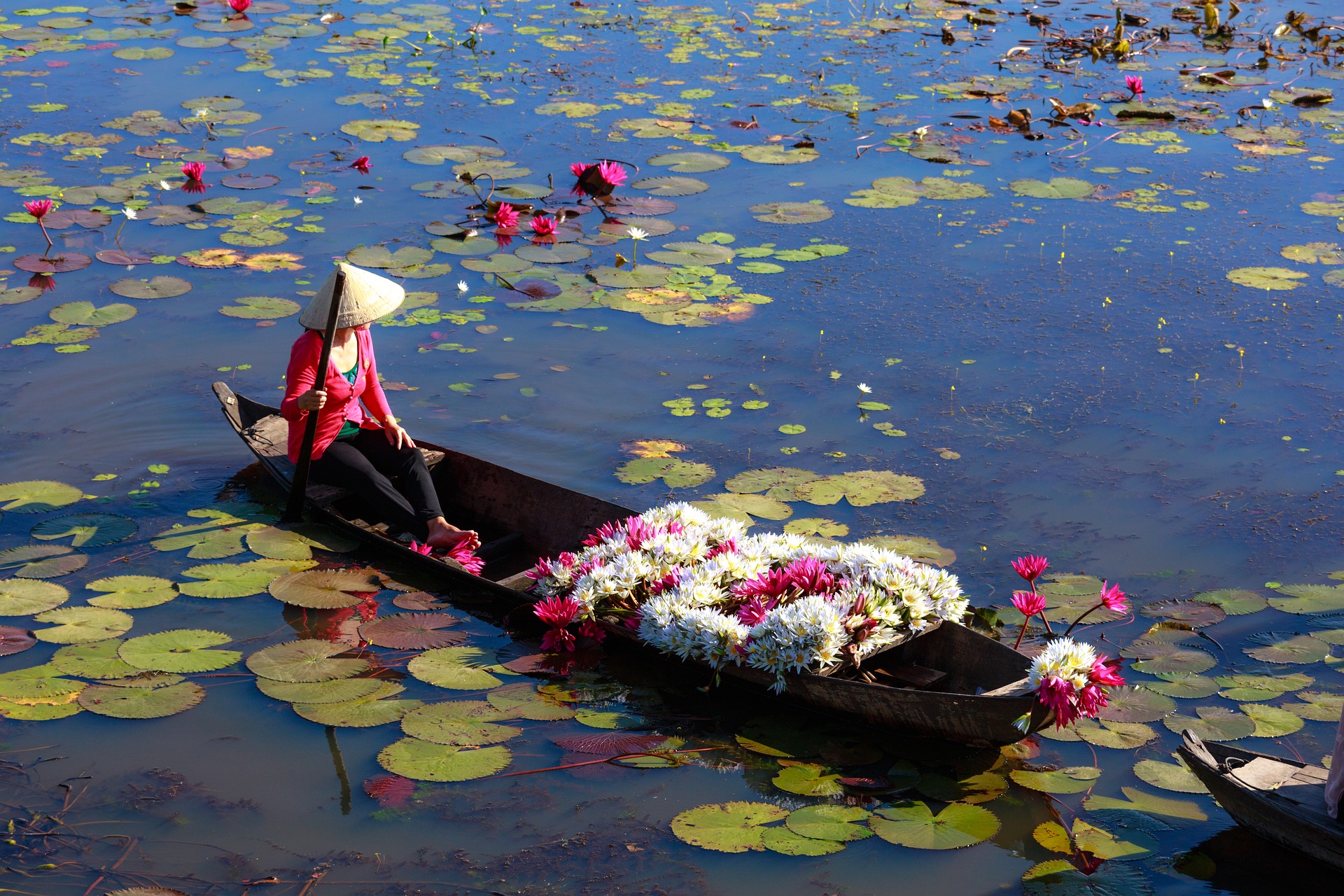 Love in Vietnam,
Love around the world,
Travel inspiration
sustainable Tourism