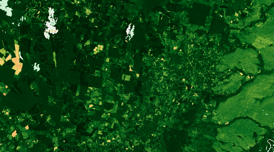 COVID-19 and vegetation cover