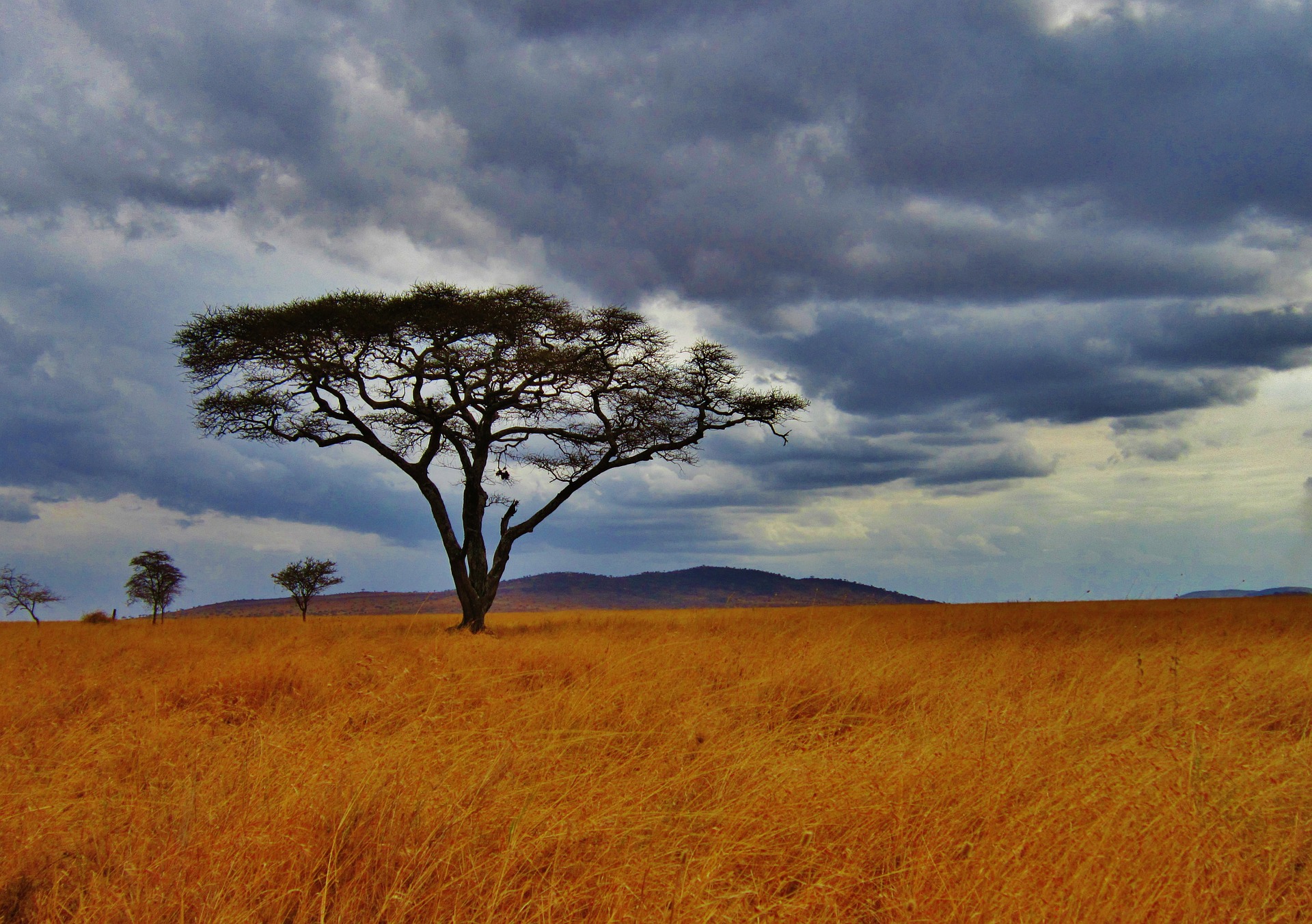 Tanzania, a cultural and natural heritage to discover