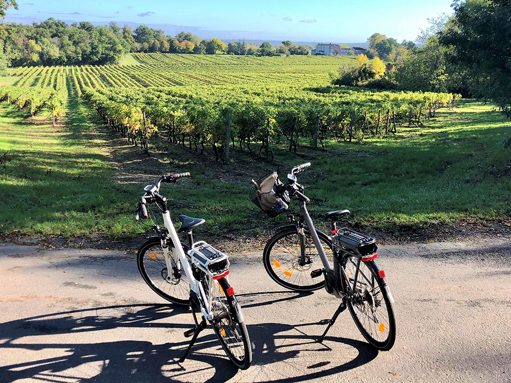 Œnotourisme à vélo dans la région de Cognac