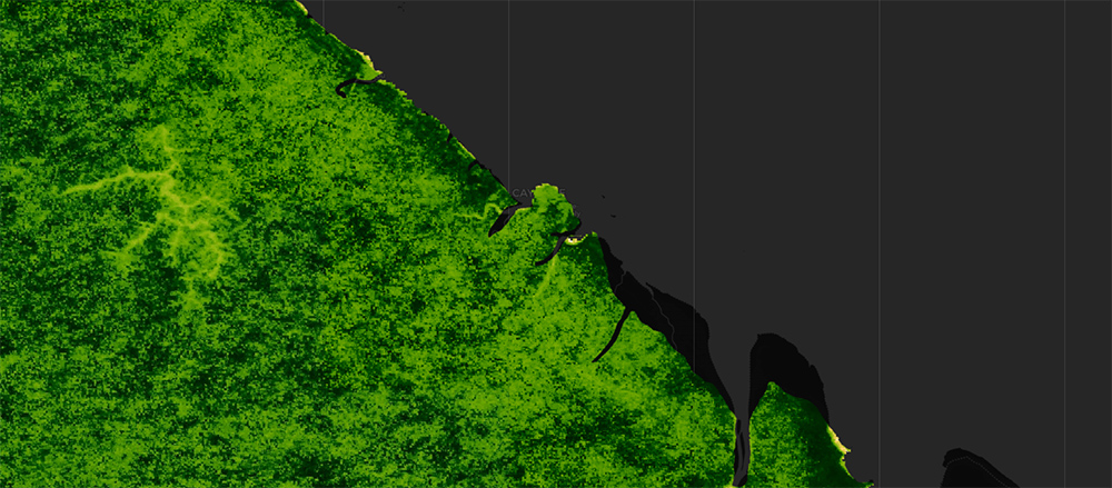 image-satellite-ndvi-guyane-francaise-deforestation-amazonienne
