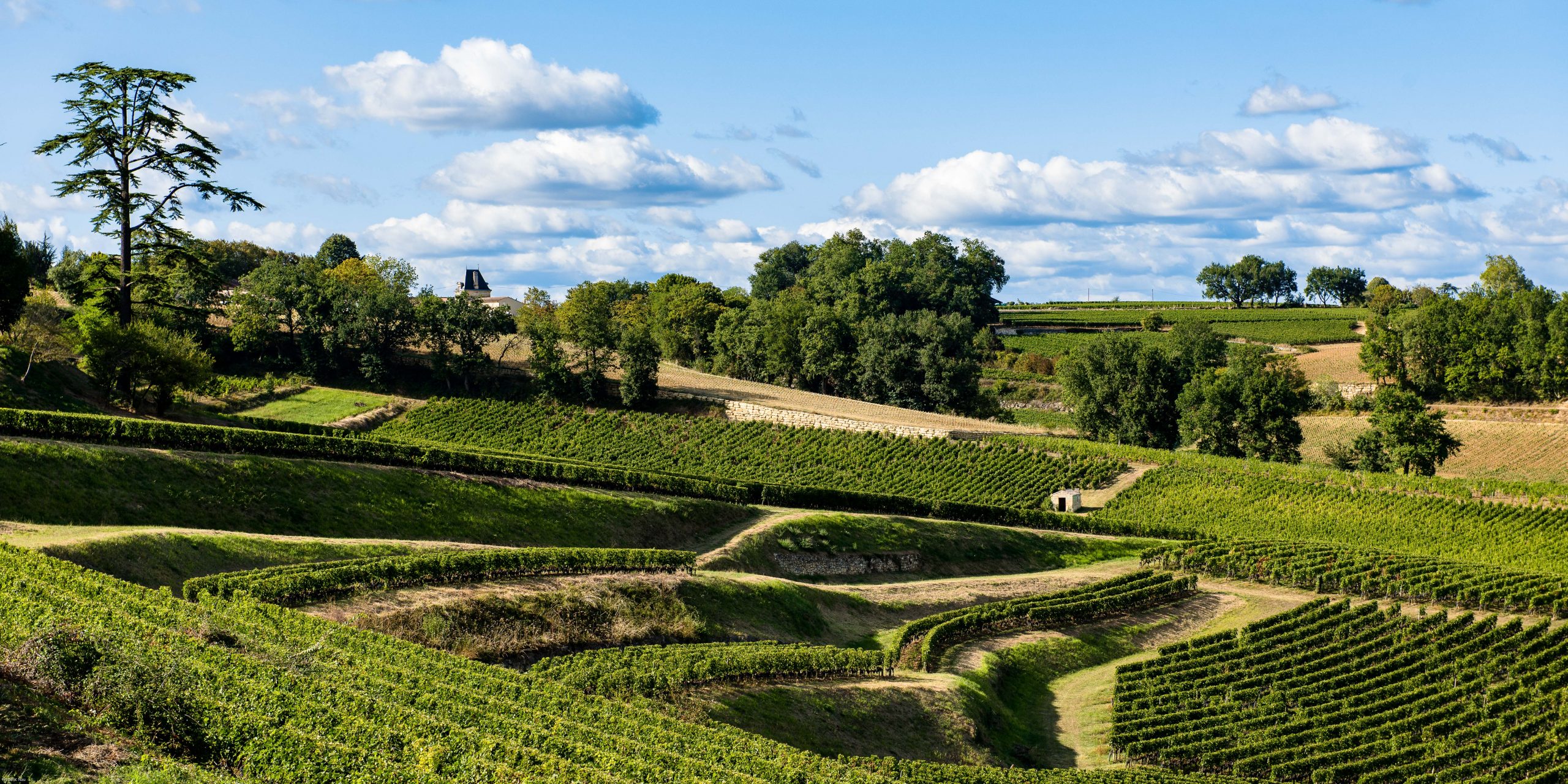 Rediscover Wine tourism with Millésime Privé