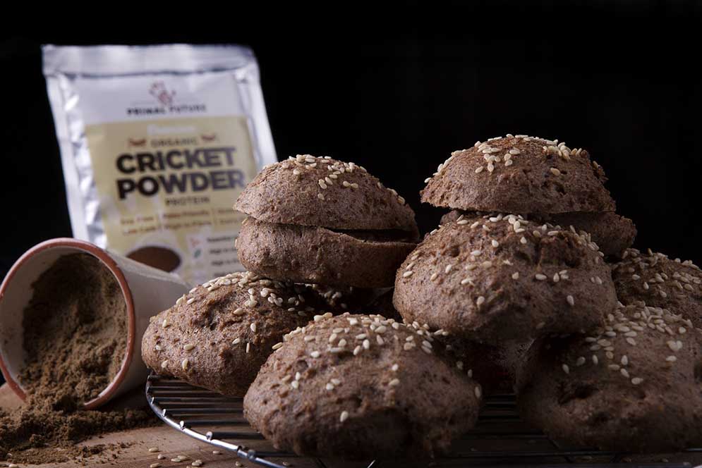 Breads made from cricket flour