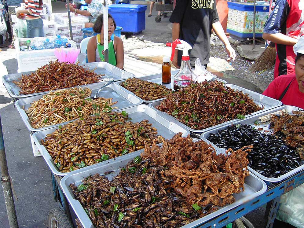 Etales d'insectes à Bangkok