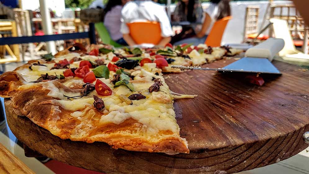Pizza topped with insects