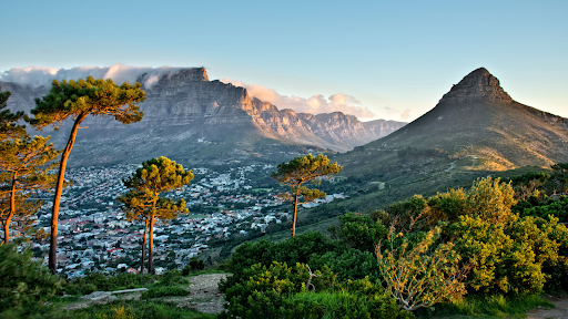 Picture of South African Landscape