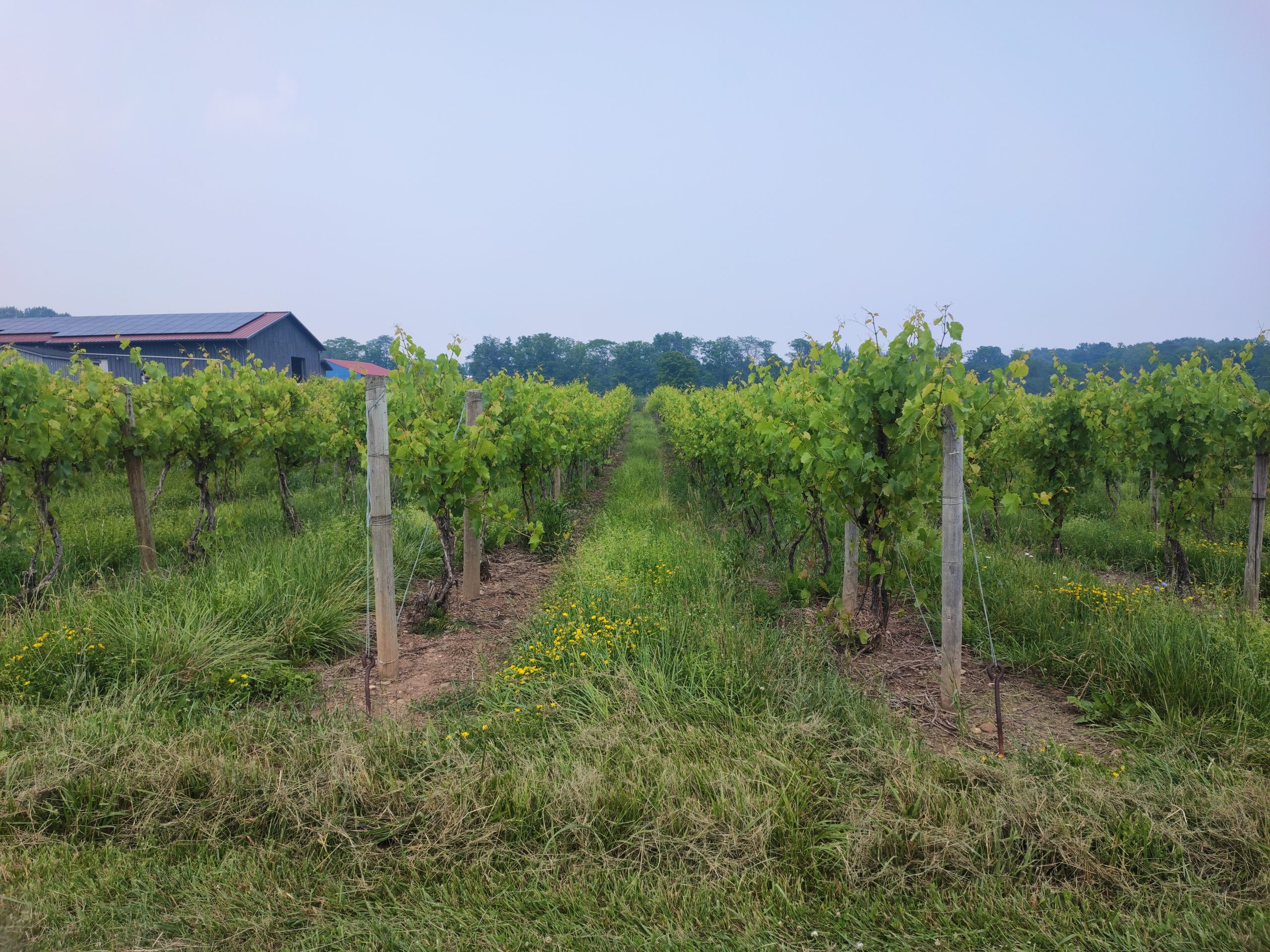 L’œnotourisme s’internationalise : la Finger Lakes Wine Trail aux Etats-Unis
