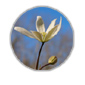 Gite au Jardin
