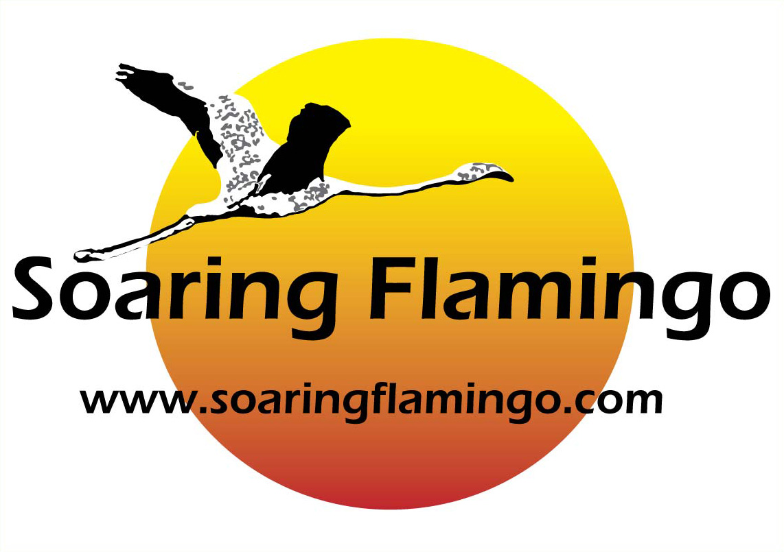 Soaring Flamingo