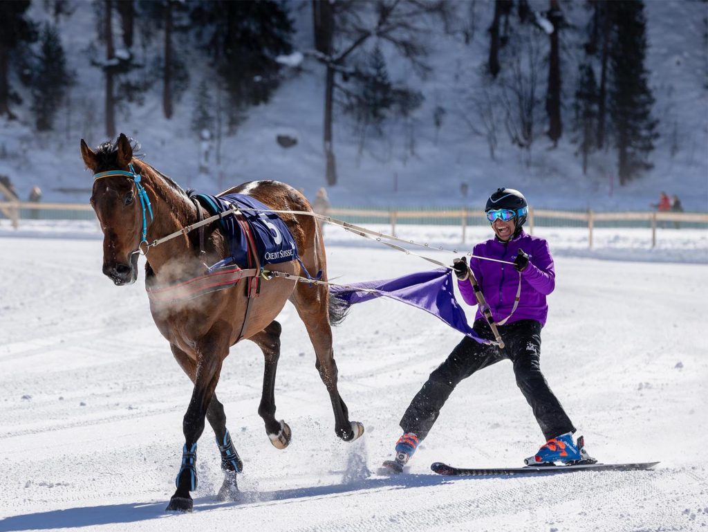 Skijoring - Wikipedia