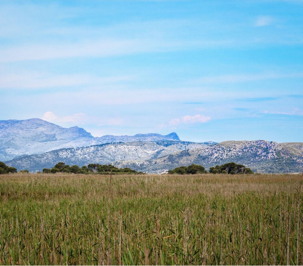 S'albufera des Grau Natural Park, Menorca