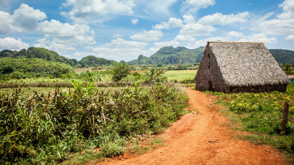 (Campagne cubaine, Cuba, ©R-evolution)